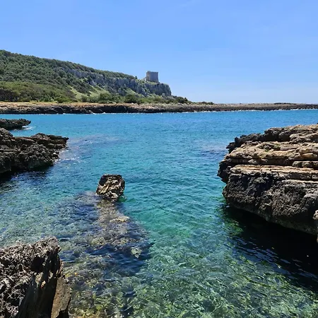 Salento31 *